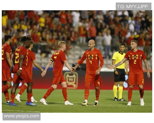 比利时与埃及精彩对决全场录像回放及精彩瞬间分析