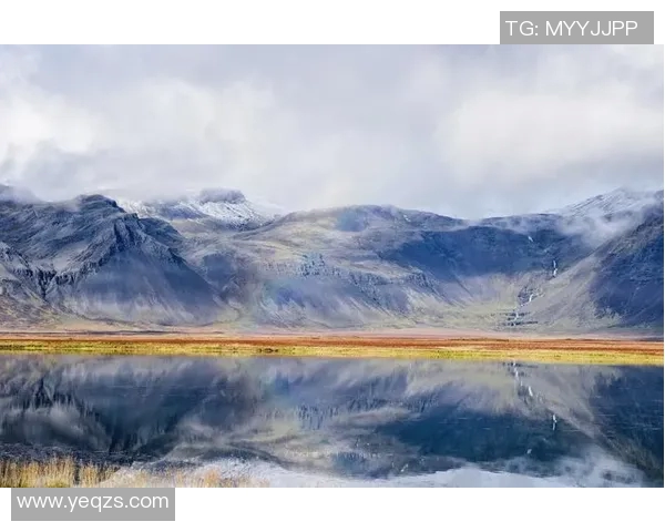 芬兰与冰岛比赛分析是否需要让球的深度探讨
